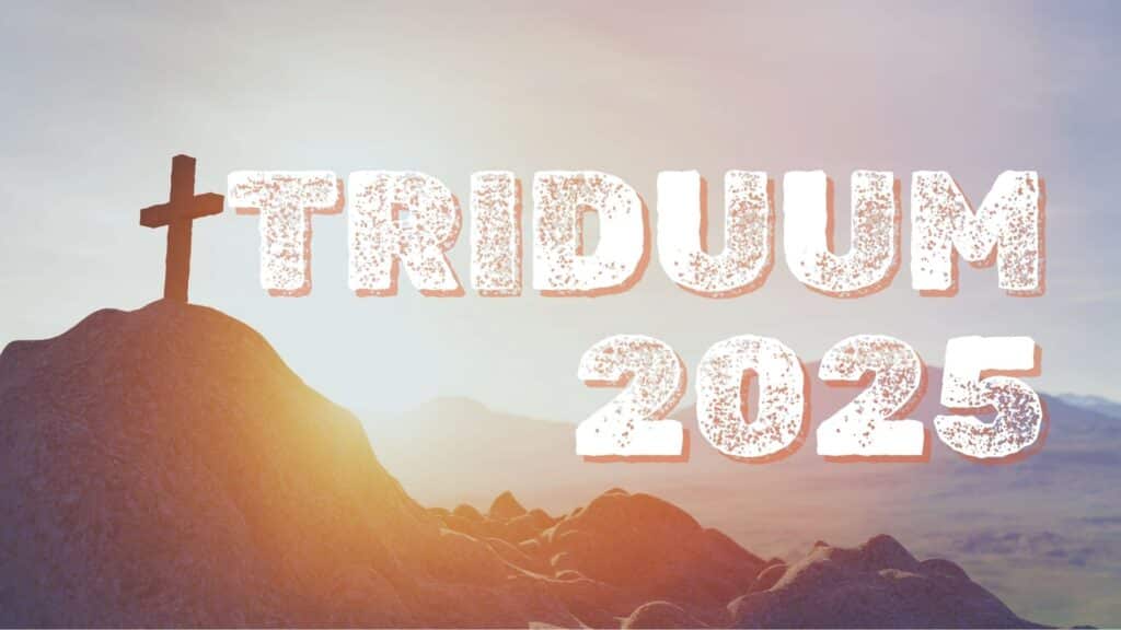 bandeaux site 2025 (13)